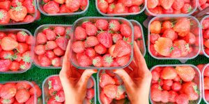 prodcutos para envasado y packaging