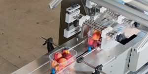 envases por sectores