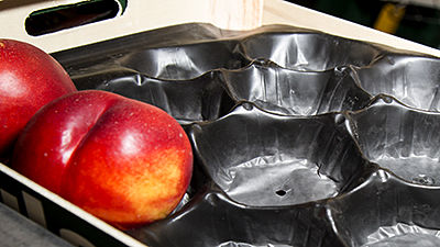 Alvéoles en plastique pour fruits
