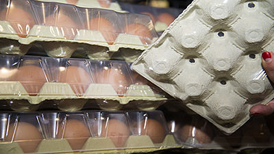 Boîtes à œufs